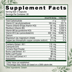 Integratore Erboristico per la Pulizia dei Reni in Capsule con Coenzima Q10 e Radice di Curcuma, Vegano, 60 Capsule, Fornitura all'Ingrosso, Uso per Adulti, Supporto Immunitario - Product Image 6