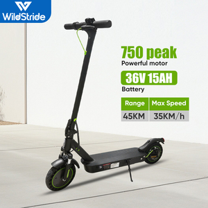 Scooter Eléctrico Plegable para Adultos, Impermeable, sin Escobillas, con Marco de Aluminio, Velocidad de 25 km/h, Batería de Litio, Control por Aplicación, E9MAX - Product Image 1