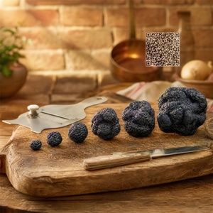 Modèle <span class=keywords><strong>de</strong></span> truffe noire réaliste pour <span class=keywords><strong>l</strong></span>'affichage en musée d'<span class=keywords><strong>histoire</strong></span> naturelle, exposition agricole, festival <span class=keywords><strong>de</strong></span> la truffe, accessoire d'exposition, 5 tailles - Product Image 2