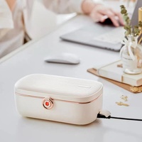 Boîte à lunch électrique portable avec pot intérieur en acier inoxydable, capacité de 900 ml, chauffe-aliments