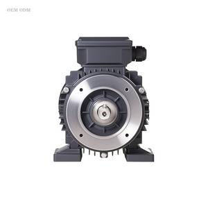 <span class=keywords><strong>Moteur</strong></span> asynchrone triphasé AC 4 kW 220 V OEM personnalisé avec réducteur de vitesse et contrôleur HP - Product Image 5