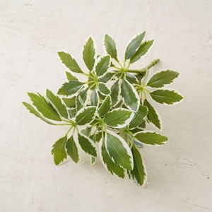 Plante artificielle CallaFloral en PVC brillant, branche unique, pour décoration de mariage et d'intérieur - Product Image 3