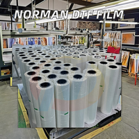 Film PET DTF Double-Sided Norman Hot Peel 75um 60cm 30cm Roll Cetak Ganda A1/A3 Film Transfer Panas untuk Pakaian Tinta Epson