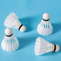 Volants de badminton hybrides en plumes d'oie, écologiques, super durables, de classe professionnelle, légers, pour l'entraînement et les tournois