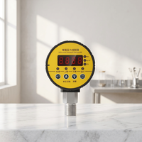 Controlador de Presión Digital Inteligente, Interruptor de Medición de Alta Precisión de 0.1 a 100 MPa, Personalizable para Automatización Industrial