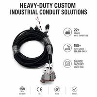 Harness Kabel Universal 21 Sirkuit Kustom OEM, Konektor Deutsch DT Molex Picoblade JST SZN