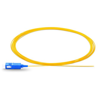 Standar Internasional 12 Kode Warna Fc/Pc Serat Pigtail