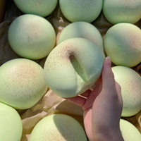 Jouet à presser en plastique ultra-doux et super-moelleux en forme de melon miel, à rebond lent