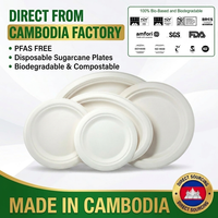 Assiettes en bagasse sans PFAS, rondes, jetables, biodégradables et compostables, de 6, 7, 9 et 10 pouces, en canne à sucre, vente en gros