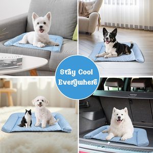 Tapis rafraîchissant portable épaissi pour petits chats/chatons, compatible avec les lits et les cages, pour usage intérieur - Product Image 4