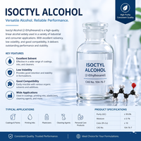 2-éthylhexanol concentré (alcool octylique) (CAS 104-76-7) pureté 99,6 % qualité industrielle pour agent auxiliaire de peinture et d'encre