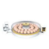 Couveuse à œufs entièrement automatique à double alimentation de 35 capacités Couveuse à œufs de haute qualité