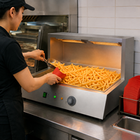 Chauffe-frites professionnel en acier inoxydable avec double lampe chauffante – Station de maintien au chaud pour restaurants de restauration rapide et de burgers