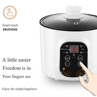 Tragbarer Doppel-Multifunktions-Mini-Elektroreiskocher Bratpfanne mit Glasdeckel Automatisches Outdoor-Küchengerät für