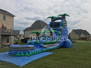 Hot bán sản phẩm chất lượng cao trượt nước <span class=keywords><strong>Inflatable</strong></span> trượt nước <span class=keywords><strong>Inflatable</strong></span> nhiệt đới trượt nước <span class=keywords><strong>Inflatable</strong></span> - Product Image 5