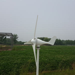 Hochwertiger Schlussverkauf landwirtschaftliche Verwendung 100 / 200 / <span class=keywords><strong>300</strong></span> /400 Watt kleine Windkraftanlage Windgenerator Windmühle für Haus - Product Image 2
