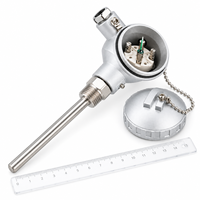 WZP-330/WRN-330 Termokopel Flens Aktif PT100 Sensor Suhu Tahan Platinum OEM IP65 Baja Tahan Karat 0.5C