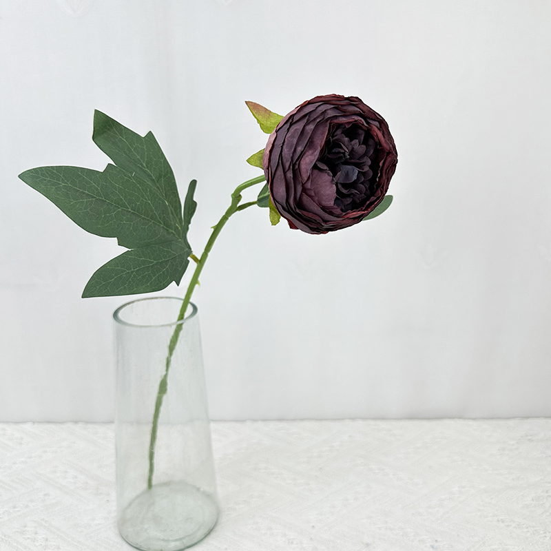 Morado Oscuro 2