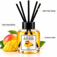 Diffuseur d'arômes moderne de 55 ml en verre rond pour huiles essentielles de fruits, bâtonnets parfumés pour la maison, désodorisant d'ambiance pour chambre à coucher, décoration parfumée
