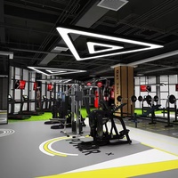 Éclairage décoratif Liner Lights Suspension Triangles Suspension Lumière Connectable LED Plafonnier Suspendu pour Salle de Jeu Gym