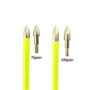 Pointes de flèches en or 75/100 grains, pointes de flèches de chasse pour arbalètes et arcs composés, pour tiges de flèches de 6,2 mm, pour la chasse et le bricolage - Product Image 2
