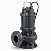Pompa Air Limbah Submersible Garansi Dua Tahun Heavy Duty 10hp 20hp 15kw Pengolahan Air Limbah Industri Pompa Air Besi Cor