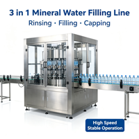Ligne de remplissage d'eau entièrement automatique, système d'emballage de bouteilles PET pour eau minérale, solution automatique pour boissons