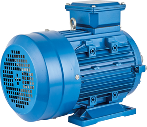 มอเตอร์สามเฟสแบบอะซิงโครนัสประสิทธิภาพสูง YE2-634-4(0.37kw) - Product Image 1