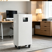 Sistema de Almacenamiento de Energía para el Hogar, Batería de Almacenamiento de Energía Solar, Contenedor de Almacenamiento de Energía, Batería de Almacenamiento de Energía para el Hogar, Batería Lifepo4