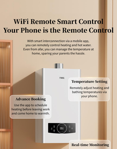 Tiết Kiệm Năng Lượng Kết Hợp Nồi Hơi Để Sưởi Ấm Trung Tâm Sưởi Ấm Khí Đốt Tự Nhiên Treo Tường <span class=keywords><strong>Gas</strong></span> Nồi Hơi Cho Chúng Tôi - Product Image 5