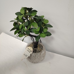 Mini <span class=keywords><strong>Bonsai</strong></span> Artificiale di Bosso in Vaso - Pianta Verde dall'Effetto Realistico per Arredamento Interno di Casa, Ufficio e Hotel - Product Image 3
