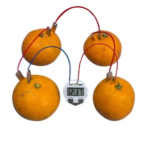 Kit d'expérimentation <span class=keywords><strong>scientifique</strong></span> DIY : Horloge électronique en plastique en forme de fruit, projet STEM pour l'école, <span class=keywords><strong>expérience</strong></span> de batterie de fruit, kit d'éducation physique pour étudiants, âges 5-13 ans - Product Image 6