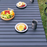 Table pliante portable en alliage de carbone, style rouleau, légère et stable, pour camping, pique-nique et repas en extérieur