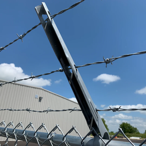 Bán buôn sắt dây thép gai lưới nhúng nóng kẽm mạ cho hàng rào nhà tù đường cao tốc trang trại an ninh-Thép mạ kẽm dây thép gai - Product Image 6