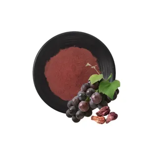 Organic Product CAS 84929-27-1 ISO/HACCP/GMP/FSSC Certified Food Grade Bulk Superior Quality Grape Seed Extract OPC 95% Best Price Exclusive Supply