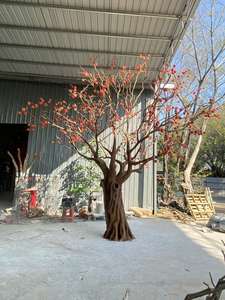 <span class=keywords><strong>Arbre</strong></span> artificiel de style chinois, simulé, en forme de kaki, pour la décoration intérieure d'hôtels, en fibre de verre, <span class=keywords><strong>arbre</strong></span> fruitier artificiel - Product Image 5