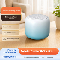 BT2602, Speaker Nirkabel Mini, Speaker Portabel BT V6.0 dengan TWS Pairing, Panggilan Bebas Genggam, Waktu Putar Lama untuk Luar Ruangan, Rumah