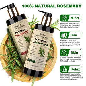 Private Label Natural Vegan Organic Moroccan Nut Tea Tree Rosemary <strong>Dry</strong> Cleaning <strong>Shampoo</strong> Conditioner Hair Care Set - Product Image 2
