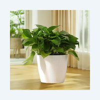 Nouveaux pots de fleurs intelligents à arrosage automatique blancs, modernes, pour la décoration de la maison, du jardin, du patio et du bureau