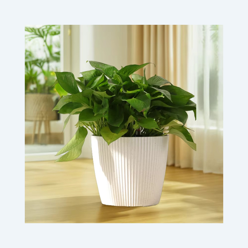 Factory Price Hot Sale Modern Plastic