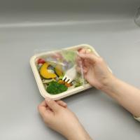 Boîte à salade en bagasse de canne à sucre compostable et scellable, empilable, en fibre moulée, résistante à la graisse, jetable, pour plats à emporter