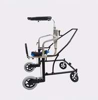 Déambulateur haut de gamme anti-roulis pour personnes handicapées, déambulateur pour hémiplégie, entraînement des membres inférieurs, cadre de maintien en acier inoxydable