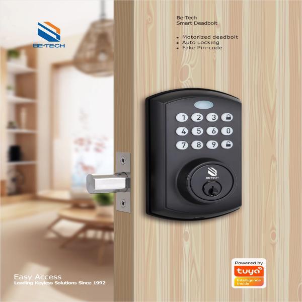 Modern Design Smart Door Lock with Keyhole Wood Door Steel Door Zinc Alloy Tuya Smart Wifi Semi Outdoor Electronic Home Lock