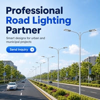 Farola LED Solar AC/DC, Certificación IP66, CCC, RoHS, CE, 30W, Uso en Carreteras, Batería DC LiFePo4, Ra80, Regulable, Garantía de 5 Años
