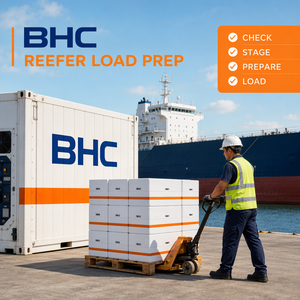 BHC Advanced Shipping Agent FCL LCL China naar Waukesha, Wisconsin Speciaal transport Meerdere niveaus kattenbomen - Product Image 3