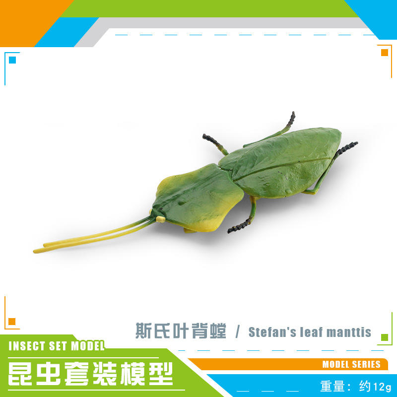 PL127-2839 Hymenodroma schermandii 12g