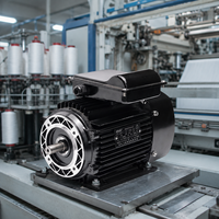 Moteur de ventilateur monophasé à condensateur ShangTe YY-80M2-2, 220V 50HZ 1.5HP 2 pôles 2800RPM IE5 haute efficacité, étanche