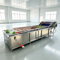 Automatische 304 roestvrijstalen luchtbel fruit- en groentewasmachine, peper- en knoflook industriële wasmachine