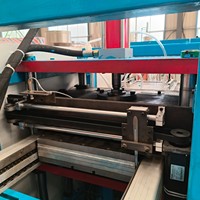 Machine de thermoformage automatique WOLJIA pour plateaux de semis de riz, équipement de formage de plaques de semis en plastique pour pépinières