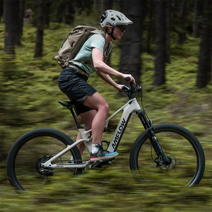 Horquilla deportiva Amflow TL Carbon <span class=keywords><strong>FOX</strong></span> AWL con amortiguador RAIL 2.0, Amflow TL tuning, <span class=keywords><strong>FOX</strong></span> FLOAT Rhythm LSR, Amflow TA dropper para bicicleta eléctrica MTB - Product Image 4